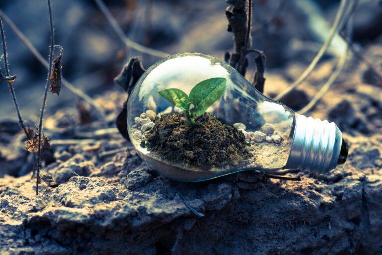 The Role of Tech in Sustainable Living: A Green Technology Revolution