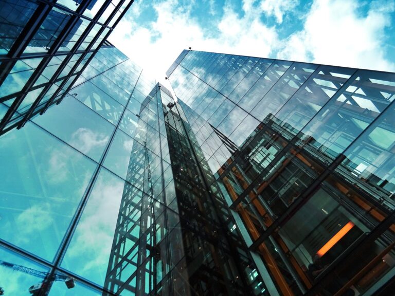A Thriving Workforce: The Role of Company Culture in Business Growth Strategy