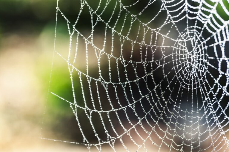 Unraveling the Mystery: What is Web 3.0 and Why Tech-Savvy Men Should Care