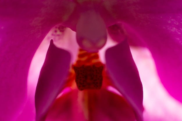 feminine energy
