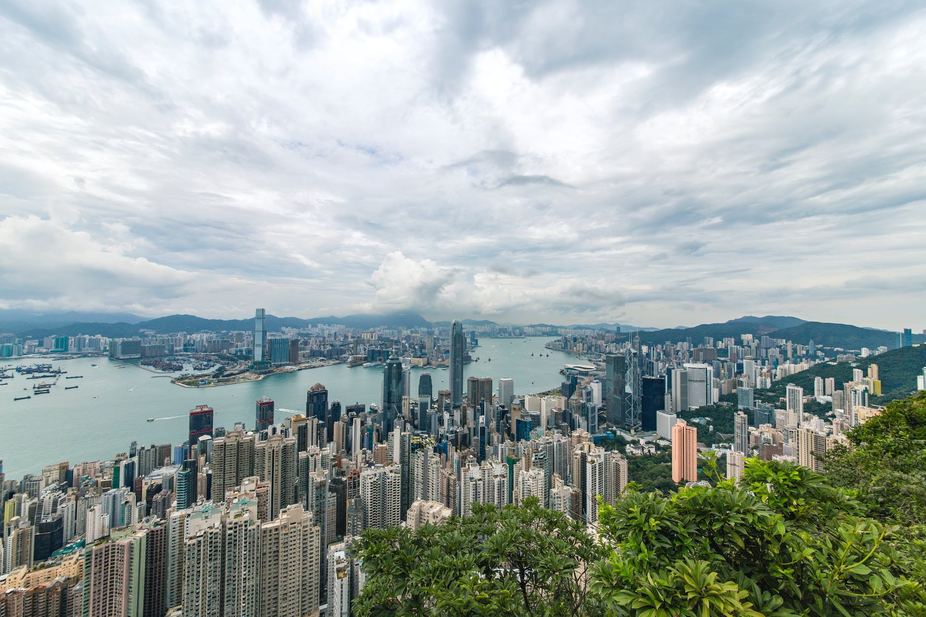 city buildings and green trees near ocean