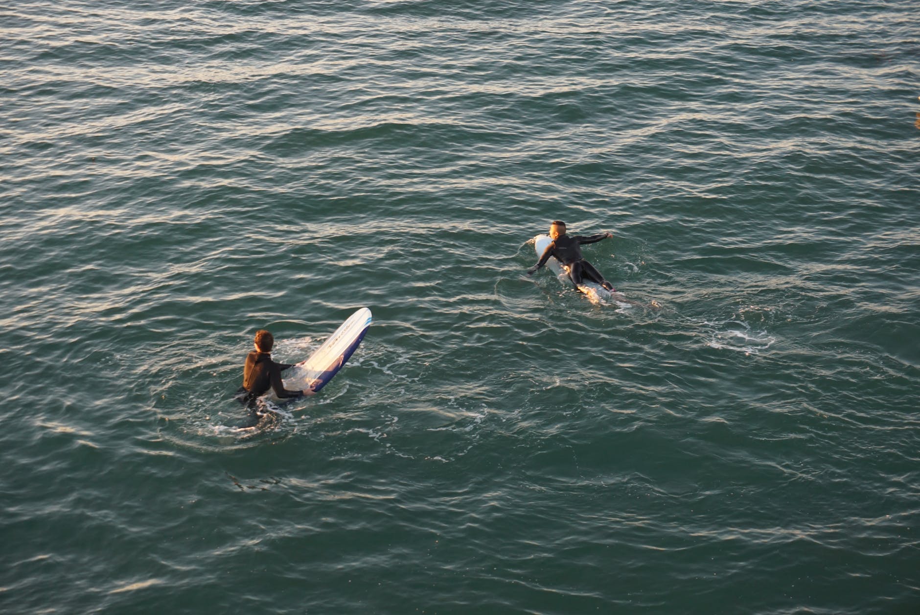 photo of two person swimming